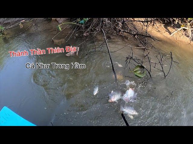 Cá K Tưởng Tượng Nổi Khi Đi Vào Nhầm Con Kênh Nước Cạn Miền Tây | Kích Cá Miền Tây | Catch Fish