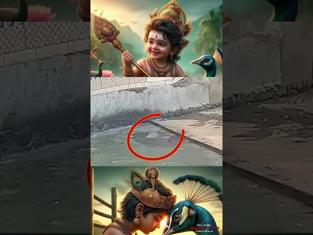 யாமிருக்க பயமேன்️#murugan #muruganwhatsappstatustamil #tamilkadavulmurugan #shortstamil #trending
