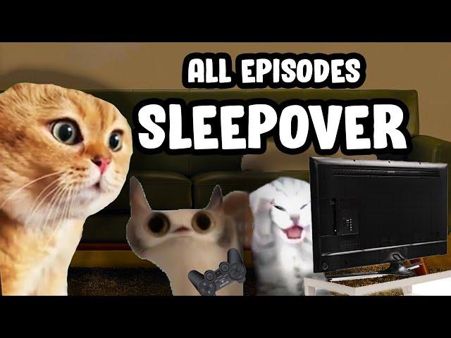 SLEEPOVERS CAT MEME COMPILATION...