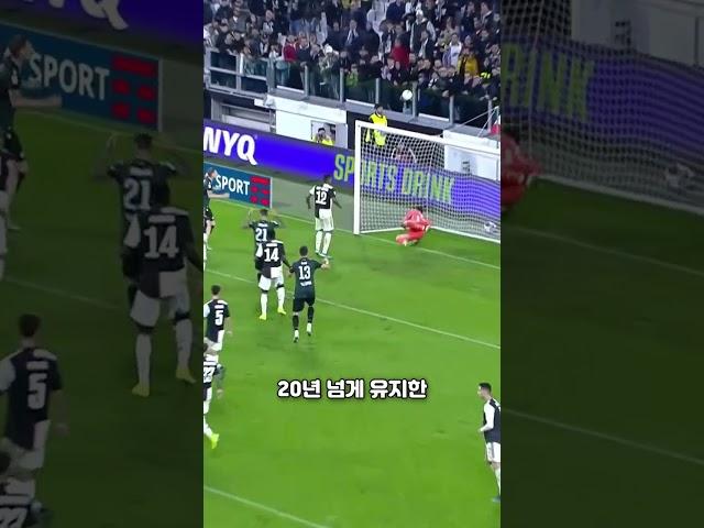 축구 역사상 최고의 골키퍼