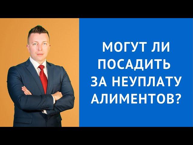 Могут ли посадить за неуплату алиментов - Семейный адвокат