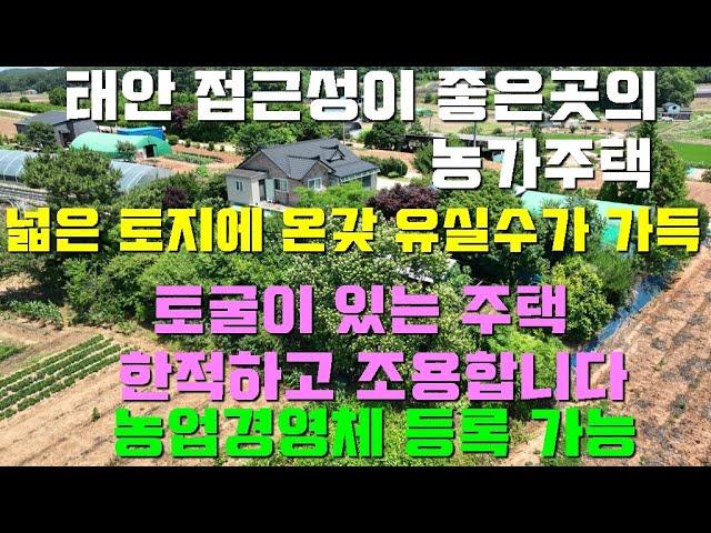 [매물1401]태안읍7분거리,국도700m,넓은토지에 유실수가 가득한 농가주택매물,토굴이 있어 좋은곳,시골생활의 정서를 맘껏 느낄수 있는 조건을 갖춘 전원주택[태안사랑넘버원현대부동산