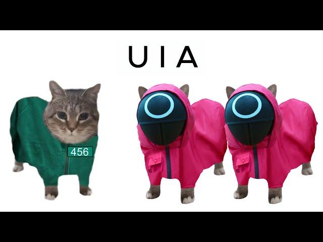 OIIAOIIA CAT x Mingle Game Song / Uia Cat x Squid Game 2 | OIIAOIIA Cat in Squid Game Season 2