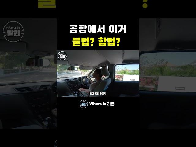 [ 발리 여행] 합법? 불법? 논란이 많은... 이것! #세계여행 #발리