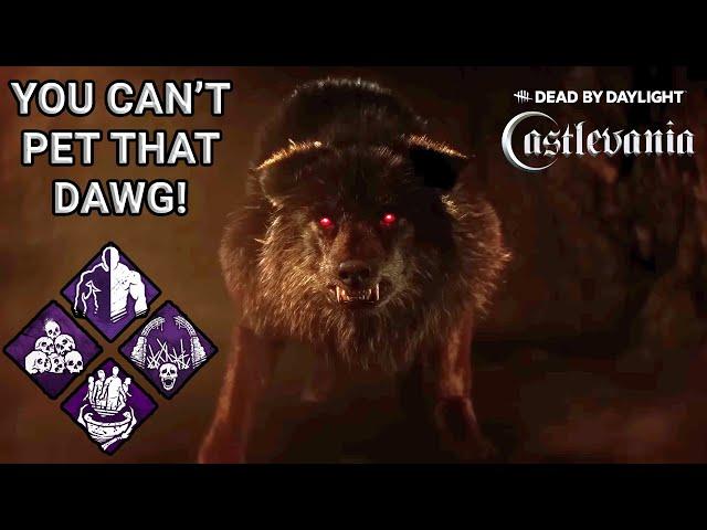 My Guard Dog Bites! You CAN'T pet that dog! DBD Castlevania Dracula Killer Build!