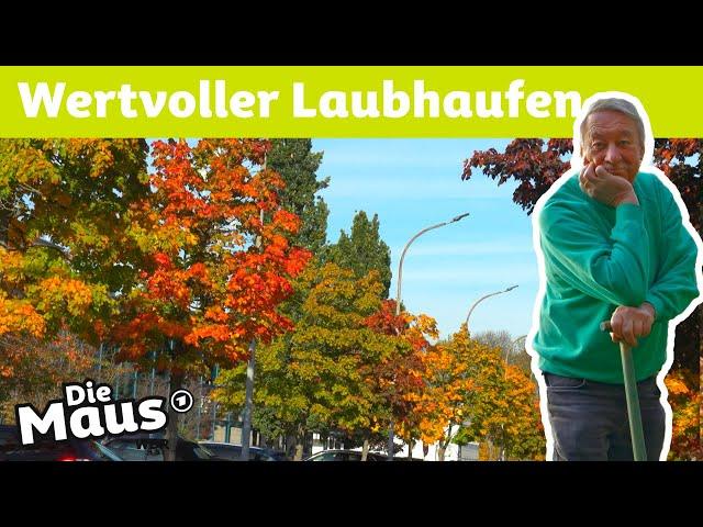 Was passiert mit dem Herbstlaub? | DieMaus | WDR