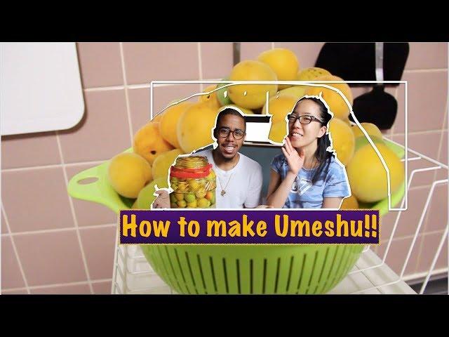 DYI: How to Make Umeshu (V.33)