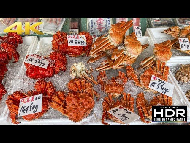  Let's Visit Nijo Market (二条市場) In Sapporo, Hokkaido | HUGE Crabs & Seafood Paradise