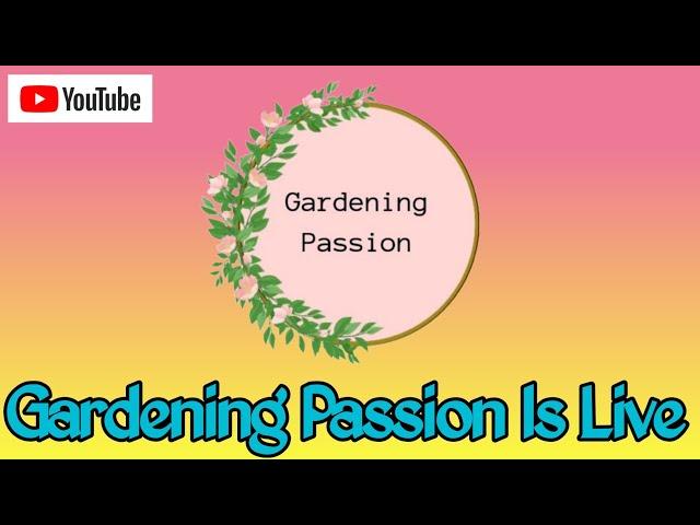 Gardening Passion is live |Talk about gardening tips and care 10dec24 live1