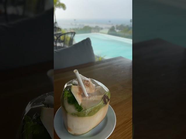 Pina colada In a #coconut #pattaya  Thailand #rootop #swimmingpool at x2 Vibe #blacktravel