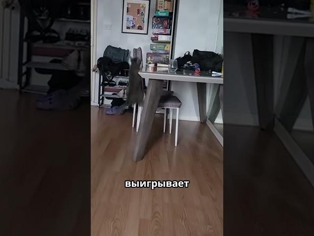 Слеп, Но Не Промах #новости #новость #shotrs