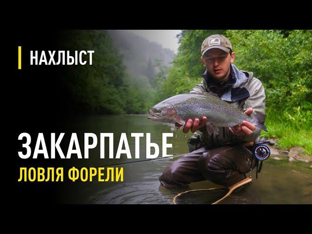 Ловля форели на стримеры в Закарпатье /  Fly fishing with streamer in Carpathians river