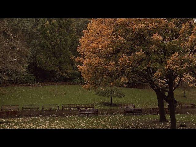 Biking down the street watching the leaves change color