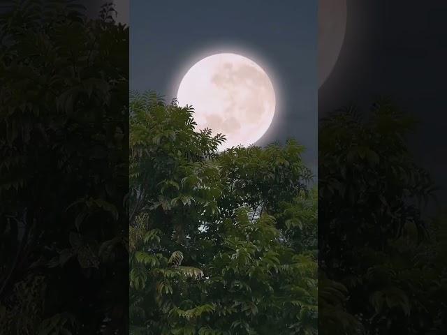 Discover Nature’s Masterpieces