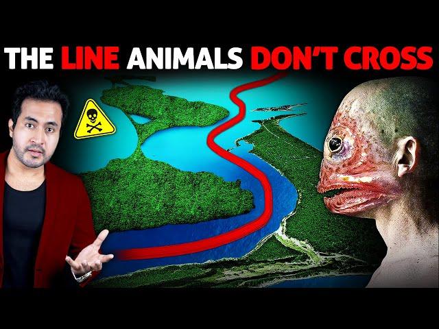 The Invisible LINE That No Animal, Bird or Fish Can Cross | The Wallace Line Truth Revealed