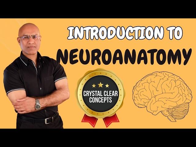 Intro to Neuroanatomy | Neurophysiology | Neuroscience | Central Nervous System