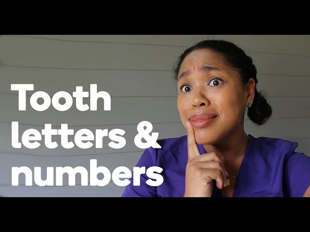 Understanding tooth letters and numbers