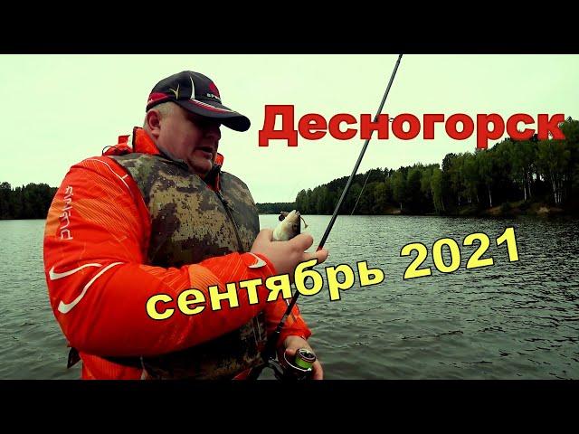 Клёв рыбы в Десногорске в сентябре 2021 и Прибамбасов