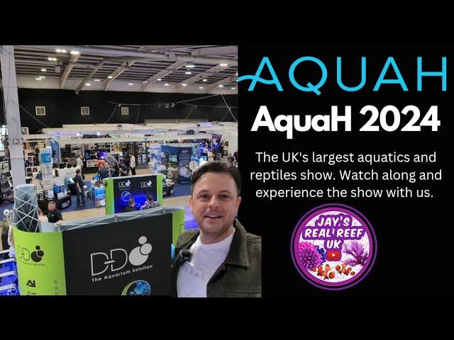 AquaH 2024 Aquatics Show - How good was it?