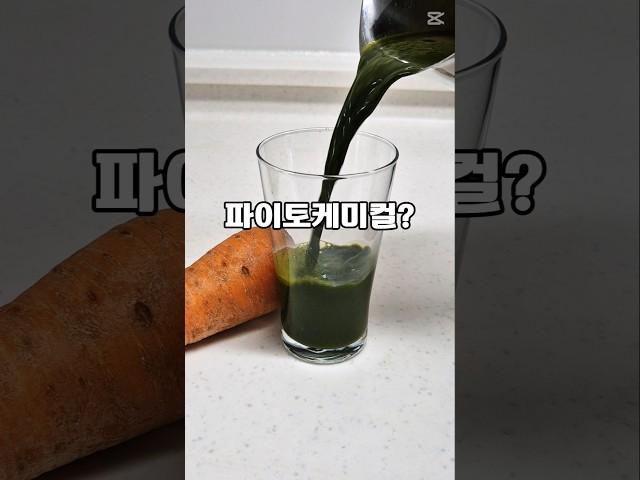 파이토케미컬이란? #녹즙 #칼슘즙
