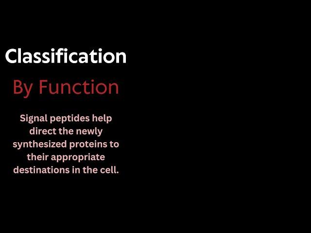 2. The Peptide Protocol Bible - Classification and Types of Peptides