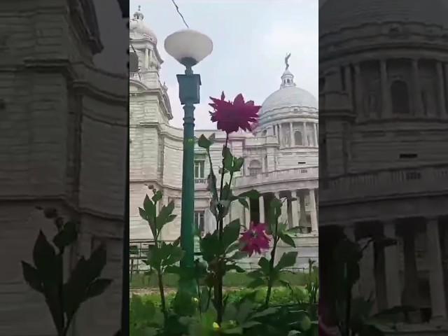 Munmun vlog #2024 #viral #victoriapark #victoriya #kolkata #kolkatadiaries #munmun vlog