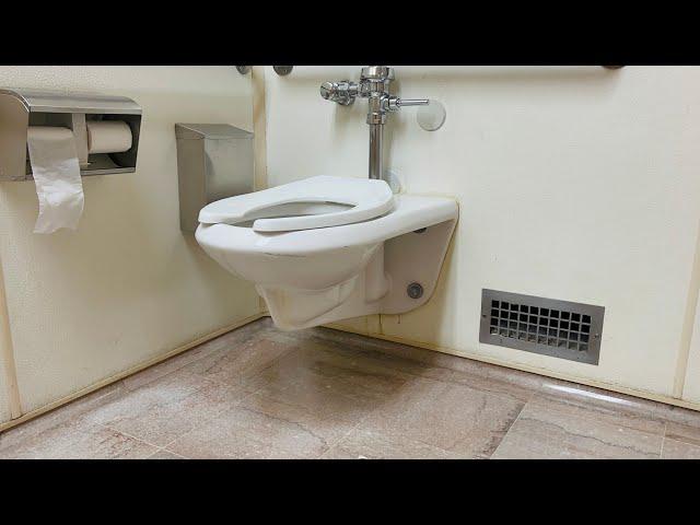 SLOAN Toilet Flushes | Toilets Flushing Desensitization Training | Huge Lounge