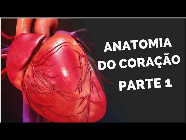 ANATOMIA DO CORAÇÃO (Sist Cardiovascular parte 1)