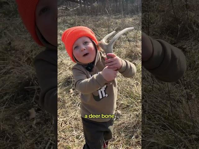 The Best Shed Hunter