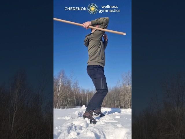 Wellness gymnastics with a stick