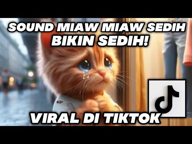 miaw miaw miaw miaw sound sad viral tiktok