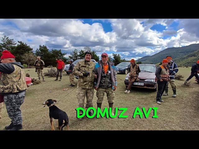 Amasya Beldağı Köyü Domuz Avımız