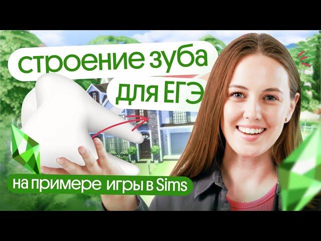 СТРОЕНИЕ ЗУБА для ЕГЭ по биологии на примере игры в Sims