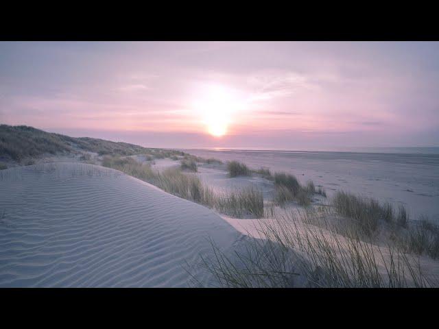 Meeresrauschen mit Möwen [Wellenrauschen zum Einschlafen / Nordsee]