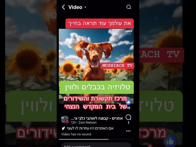 תורת המהות והעצמות. פרסומת לערוץ משיח טי וי העוסק בהפצת מעוינות חוכמה בעולם ובעיקר חיה ויחידה.