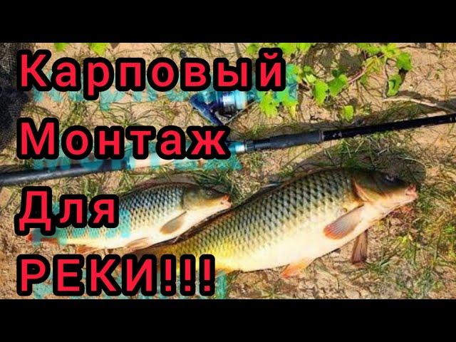 Карповый монтаж для рыбалки на Реке!!! Ловит рыбу100%!!!