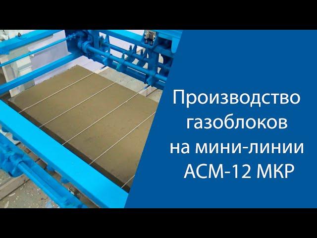 Производство газоблоков на мини-линии АСМ 12 МКР