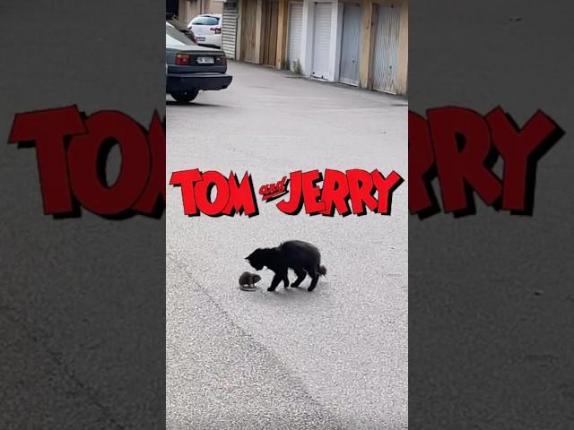 Tom & Jerry are Retired #shorts