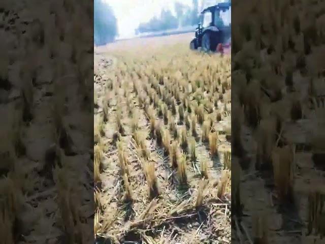 Cultivation Testing with LOVOL 504-B AC Cabin Tractor | LOVOL Tractor | #banglamark #lovoltractors