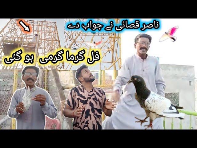 Nasir qasai ko jaal rakhne ka fayda ho gaya  | Nasir pigeon club | Khokhar pigeons club