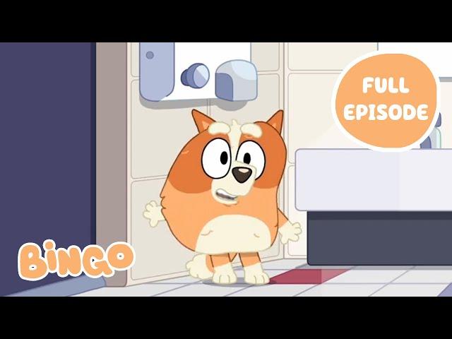 Bingo at the Movies   | Bluey Full Episode | Bingo - Official Channel