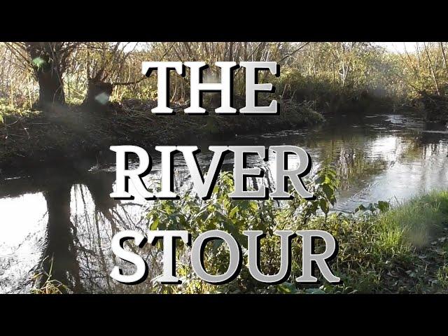 RIVER STOUR CHUB