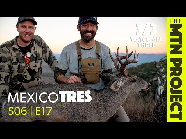 Two Big Little Deer - Caza Sonora - S06E17 - The Mountain Project