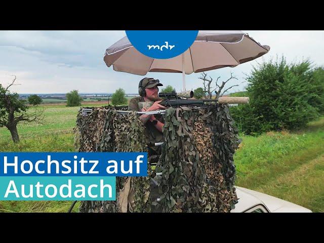 Jäger baut sich Hochsitz auf sein Autodach | MDR um 4 | MDR