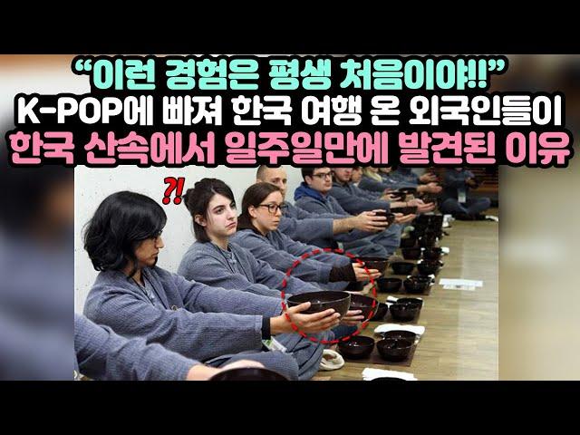 K-POP에 빠져 한국 여행 온 외국인들이 한국 산속에서 일주일 만에 발견된 이유