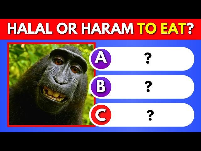 Haram or Halal Animals To Eat | Islam Quiz 