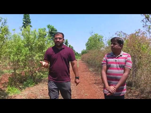 Farm visit at Kanakpur’s @DARVI GROUP #farming #agriculture #sandalwood