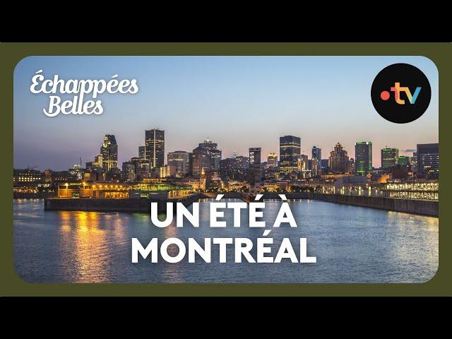 A Summer in Montreal