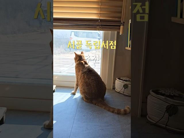 강화도 볼거리 드라이브 여행코스 책방시점