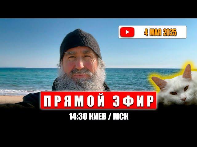 Прямой эфир 4 мая 2025